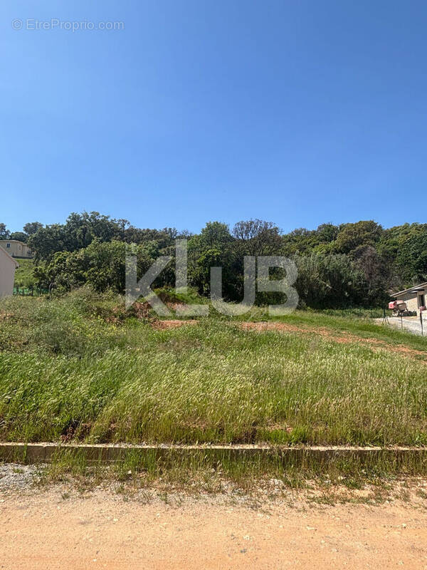 Terrain à POGGIO-MEZZANA