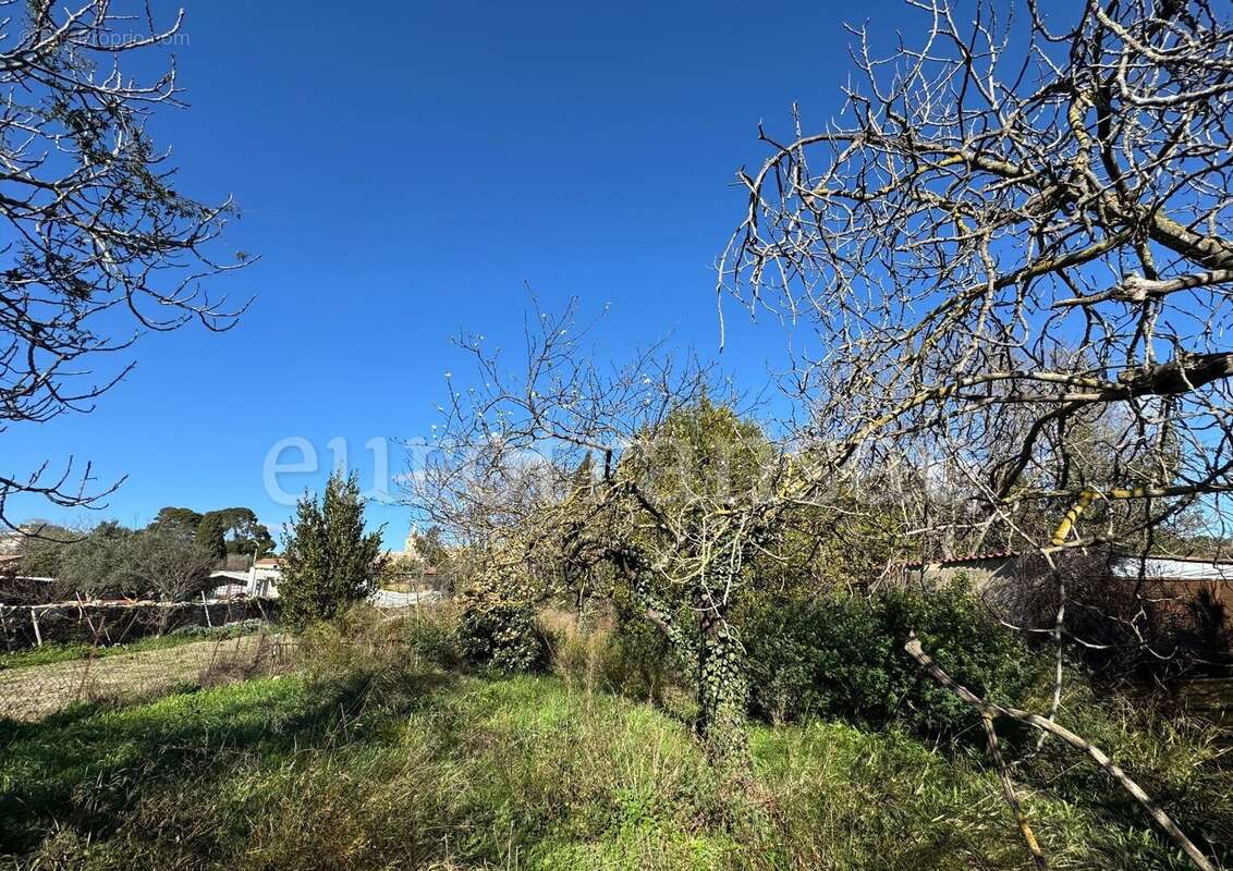 Terrain à NEZIGNAN-L&#039;EVEQUE