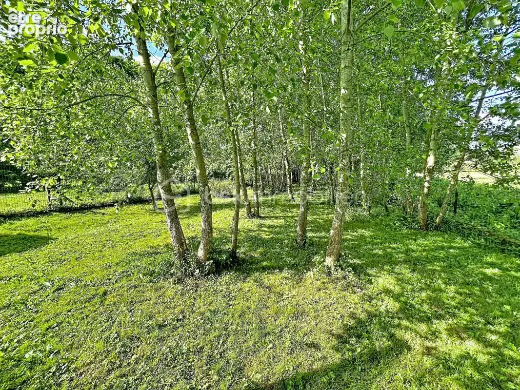 Maison de caractere  avec sous sol et grand jardin - photo 12