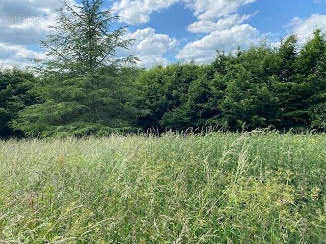 Terrain à AUBEVOYE