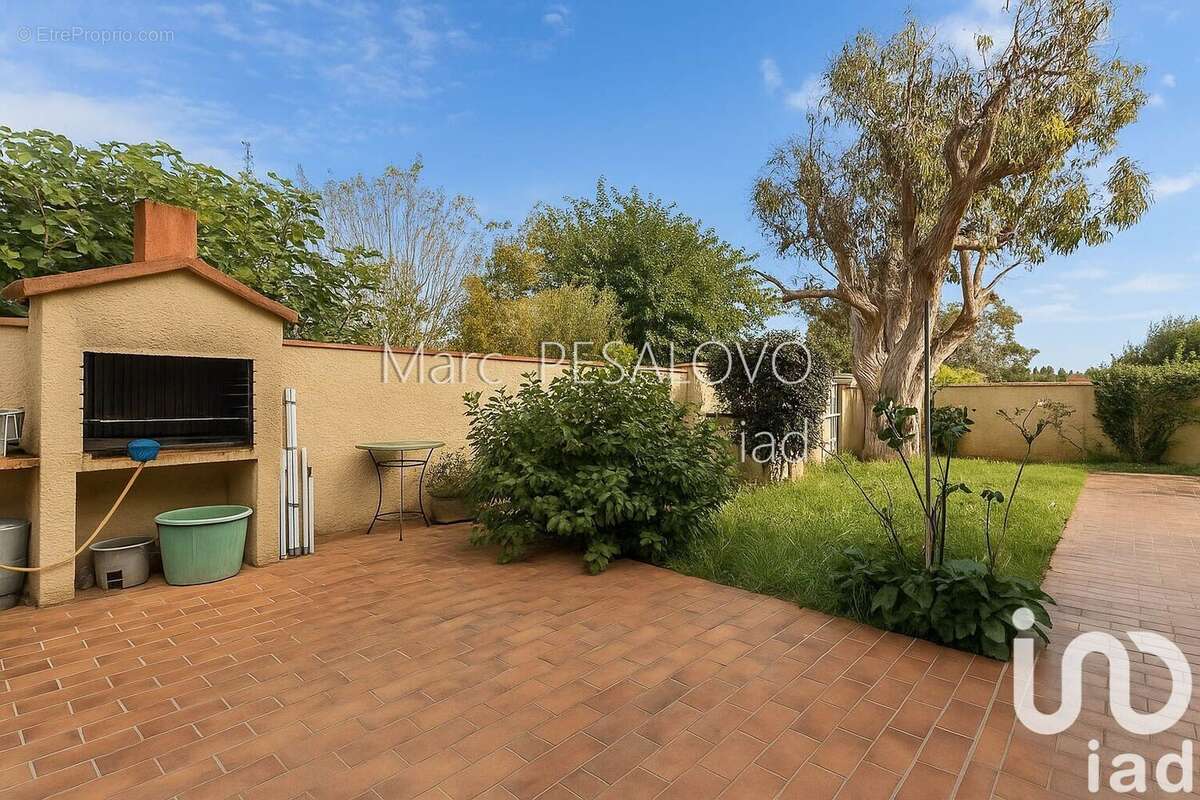 Photo 5 - Maison à VILLELONGUE-DE-LA-SALANQUE