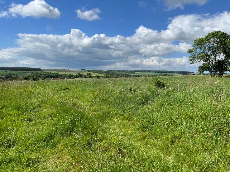 Terrain à SAINT-RIQUIER