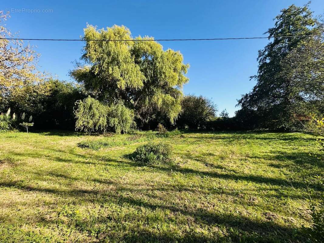 Appartement à ETAULIERS