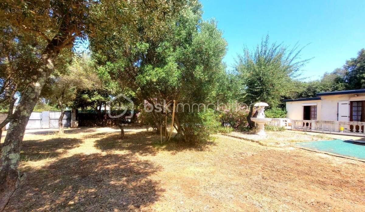 Maison sur un terrain de plus de 4000m² - photo 12