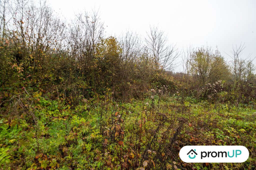 Terrain à HARAUCOURT