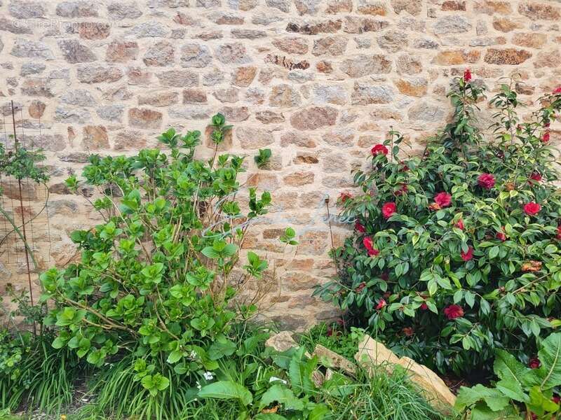 Maison à RIEC-SUR-BELON