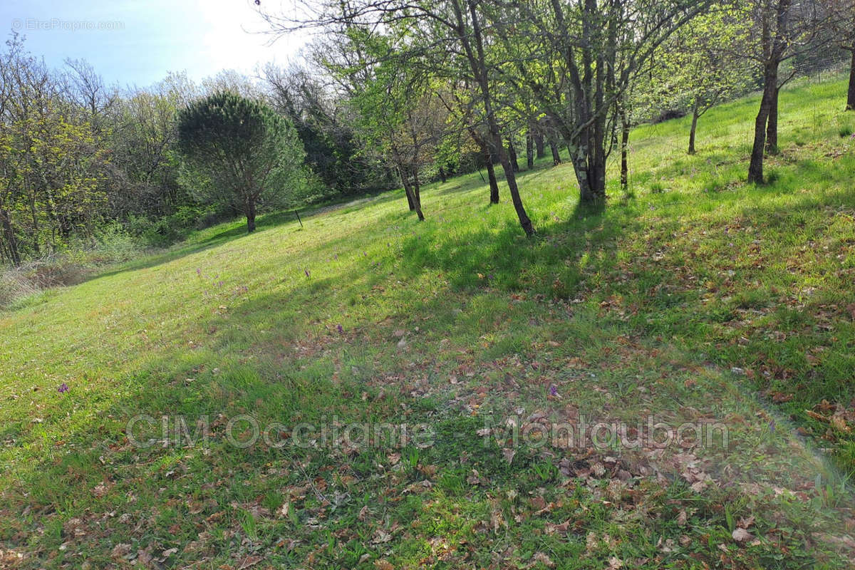 Terrain à SAINT-ETIENNE-DE-TULMONT