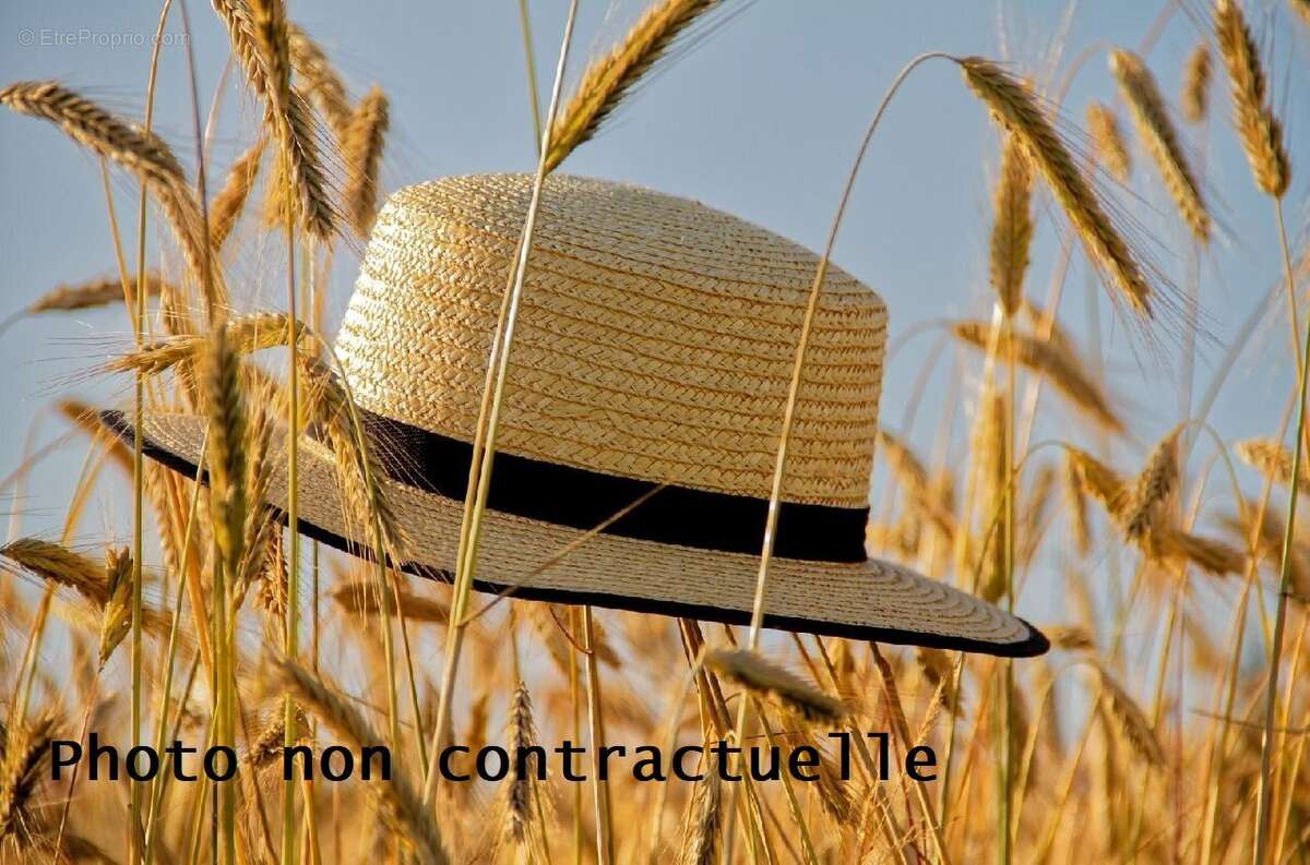 Commerce à AIX-LES-BAINS