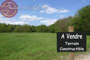 Terrain à VILLENEUVE-TOLOSANE
