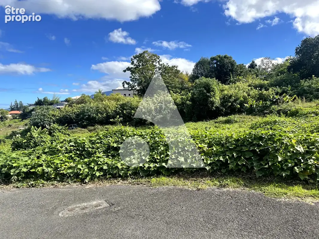 RARE AU TAMPON -  Cette parcele de 400 m2 et 4 autres magnifiques terrains à bâtir pour votre futur projet ! - photo 6