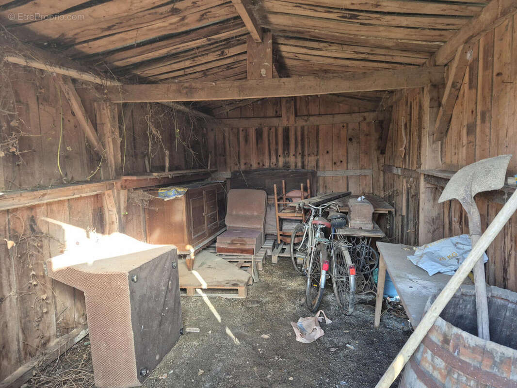 20251125_110302 - Terrain à SAINT-PARDOUX-LA-RIVIERE