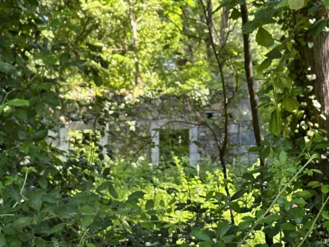 Maison à SAINT-LAURENT-DE-NESTE