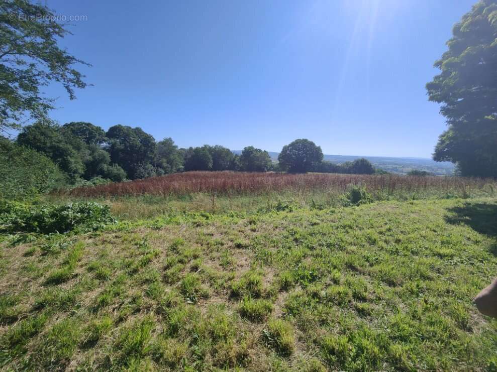 Segala-superbe maison de 1893 sur un terrain de7000m² - photo 5