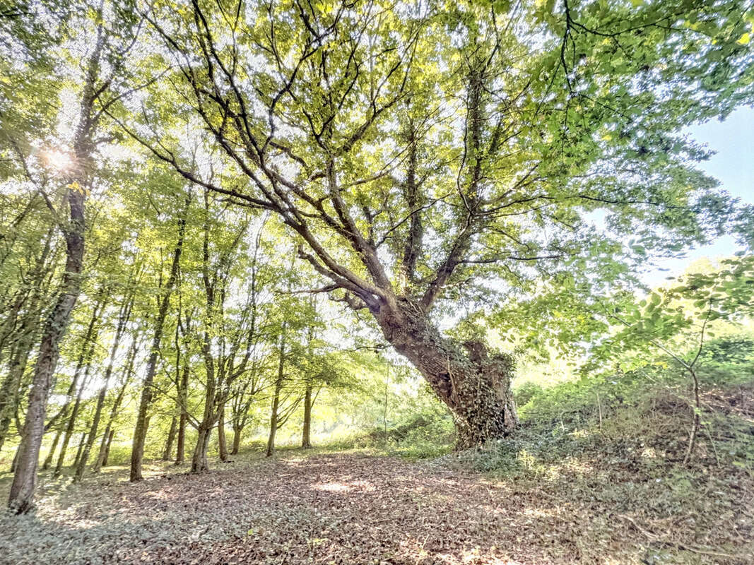 Maison à COULONGES-SUR-L&#039;AUTIZE