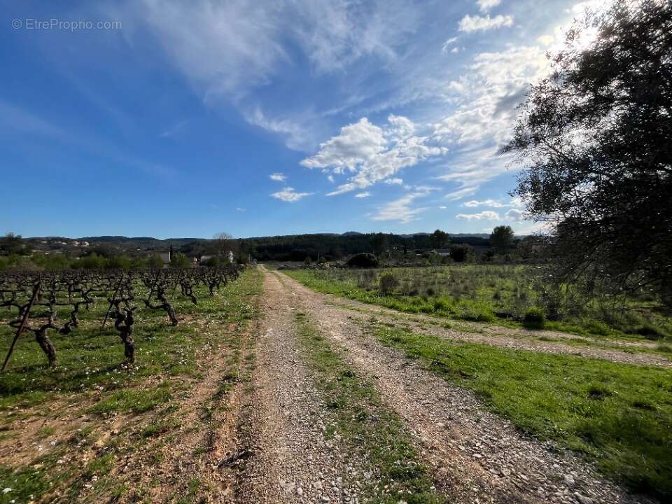 Terrain à CARCES