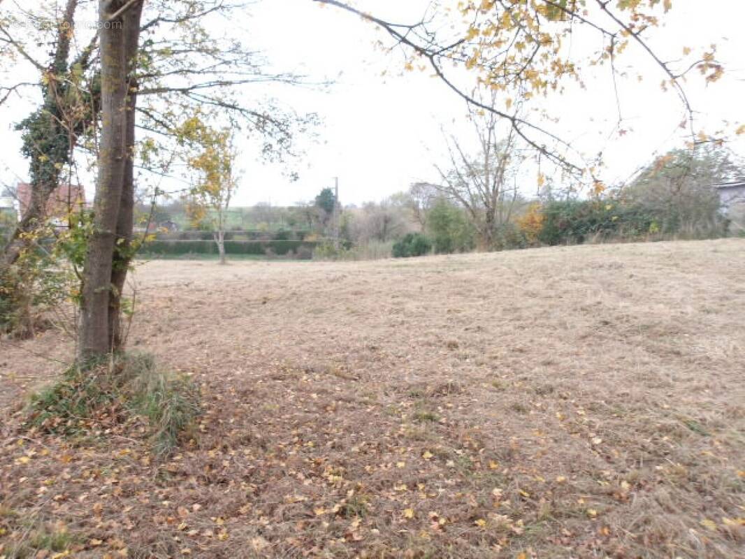 Terrain à GOERLINGEN