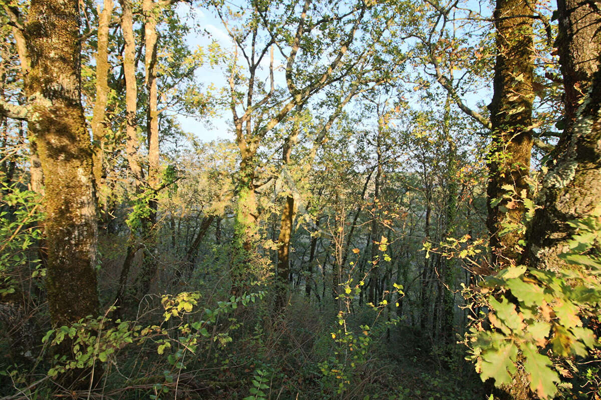 Terrain à PRAYSSAC