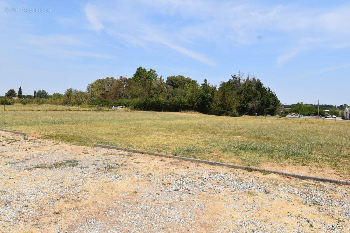 REVEL (31250) - Terrain de 3 000 m2 à vendre en zone artisanale - A NEGOCIER RAPIDEMENT - photo 2