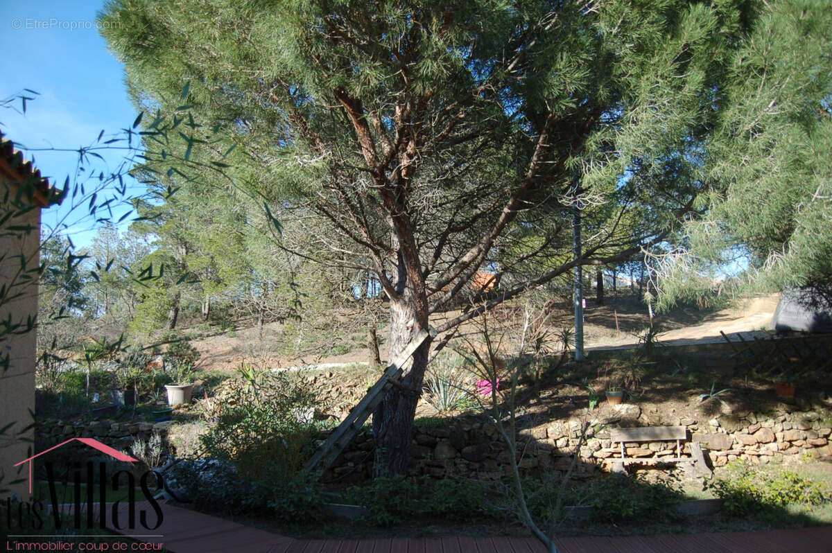 Maison à SAINT-ANDRE-DE-ROQUELONGUE