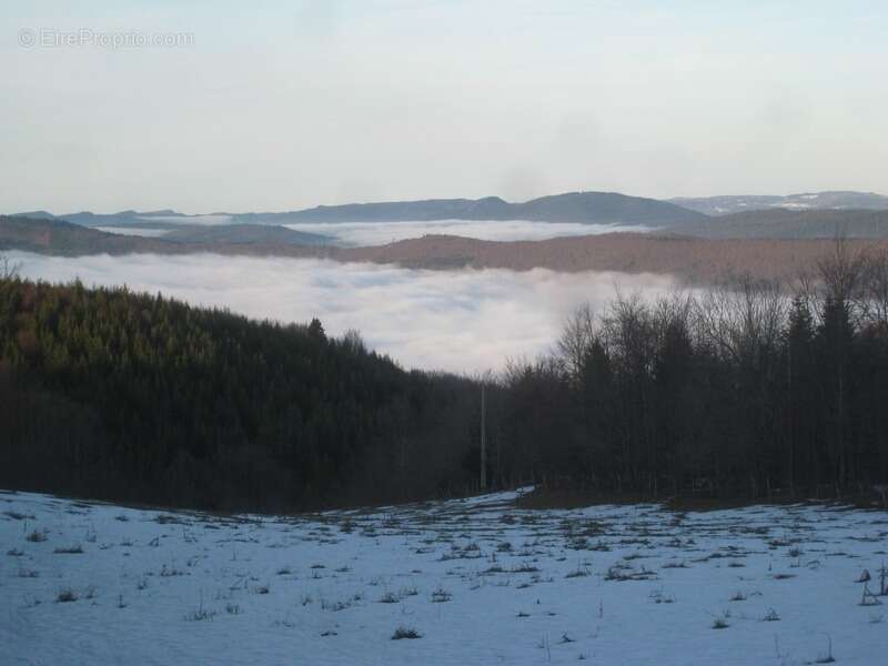 Dpt Ain (01), à vendre ORDONNAZ magnifique appartement T4 de 72 m² avec terrain privatif de 141 m² - photo 59