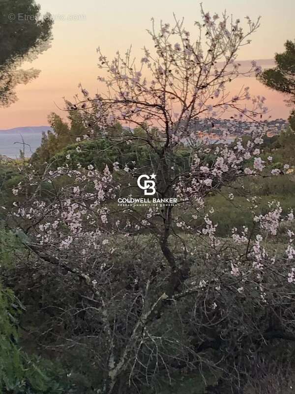 Terrain à LA CROIX-VALMER