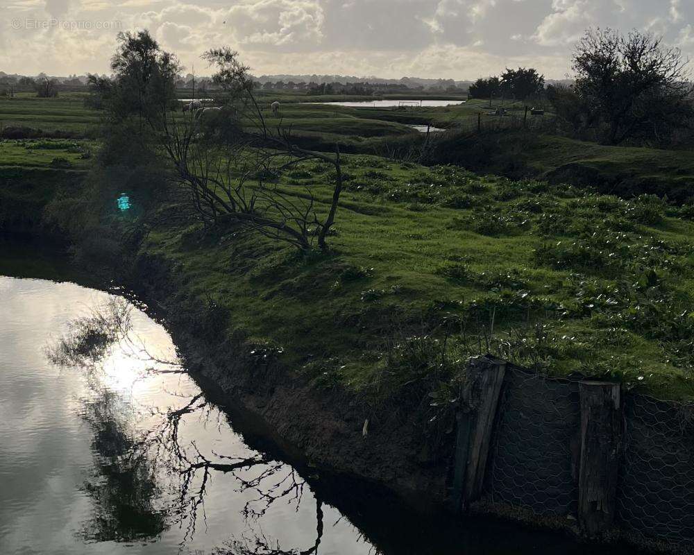 Terrain à L'ILE-D'OLONNE