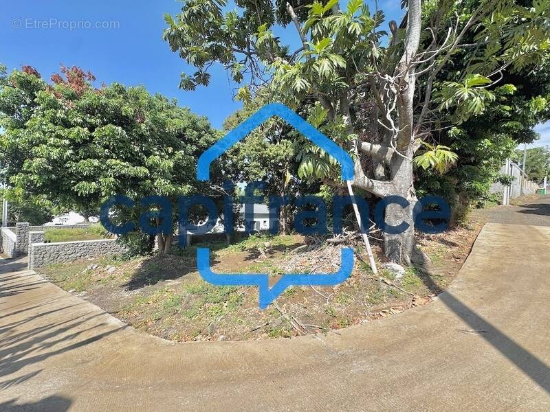 Terrain à SAINT-LOUIS