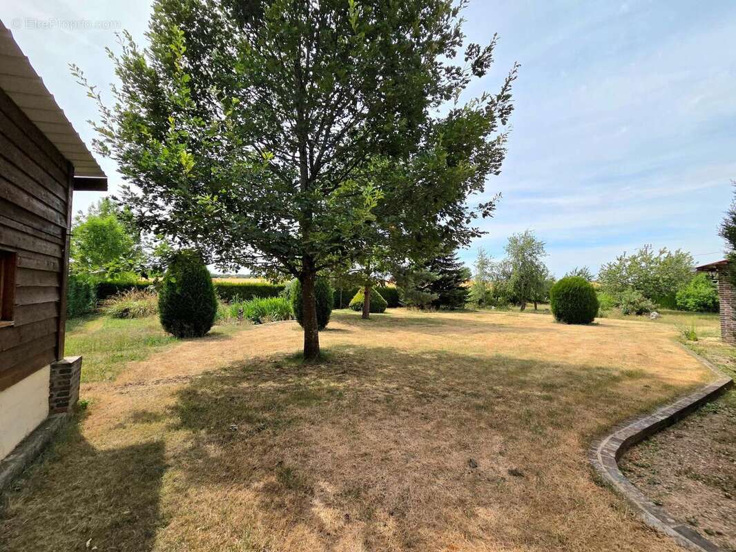 Maison 233 m² à Sormery  - photo 4