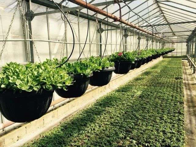 Commerce à RIBEMONT