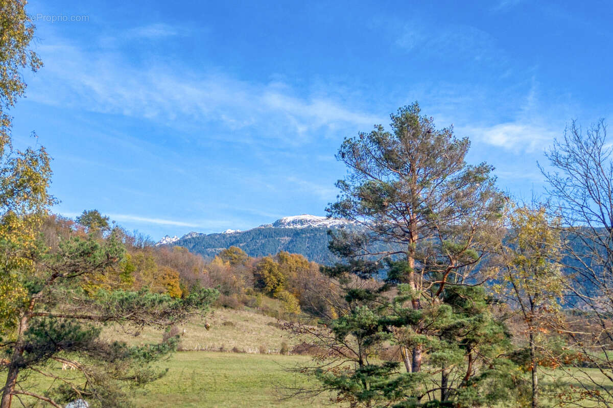 Terrain à BRIE-ET-ANGONNES