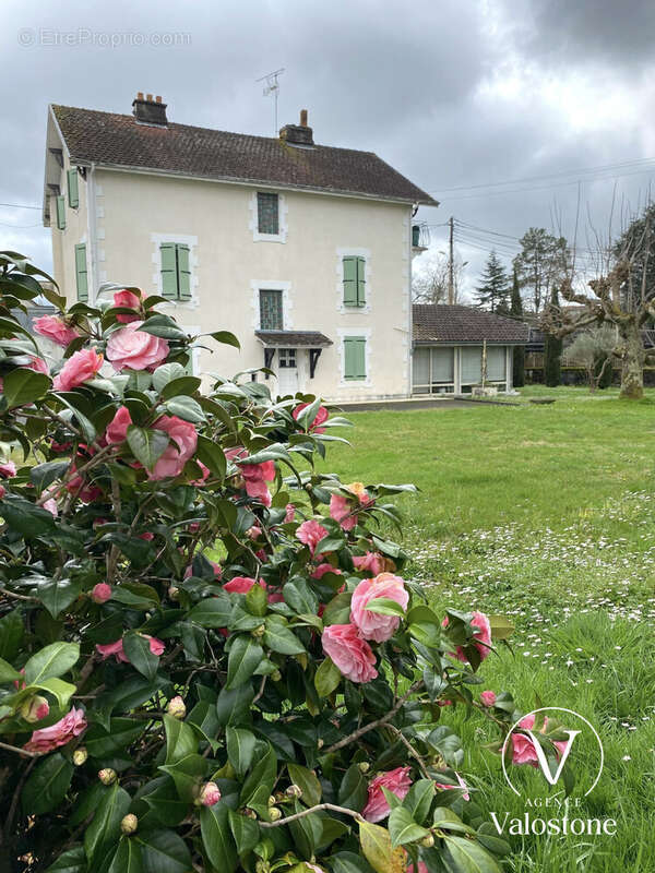 Maison 285 m² à Hagetmau  - photo 3