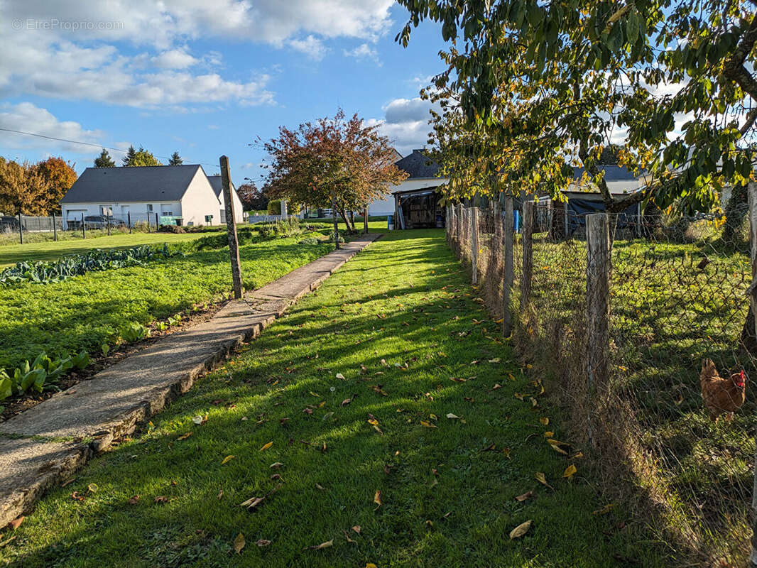 Terrain à SAINT-DOLAY