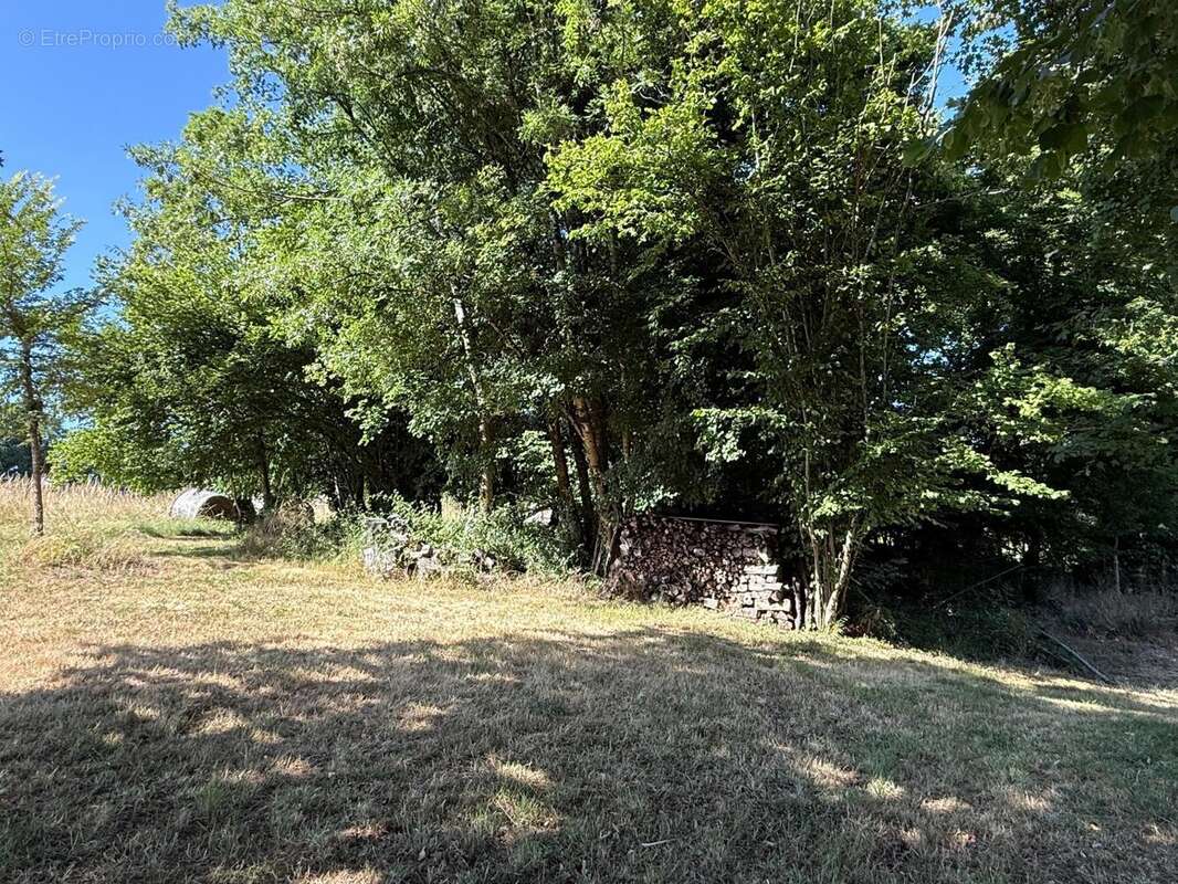 Photo 4 - Maison à CHANIERS