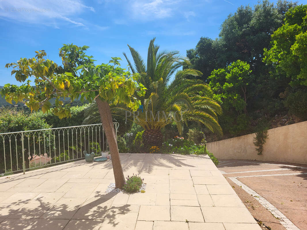 Maison à ROQUEBRUNE-SUR-ARGENS