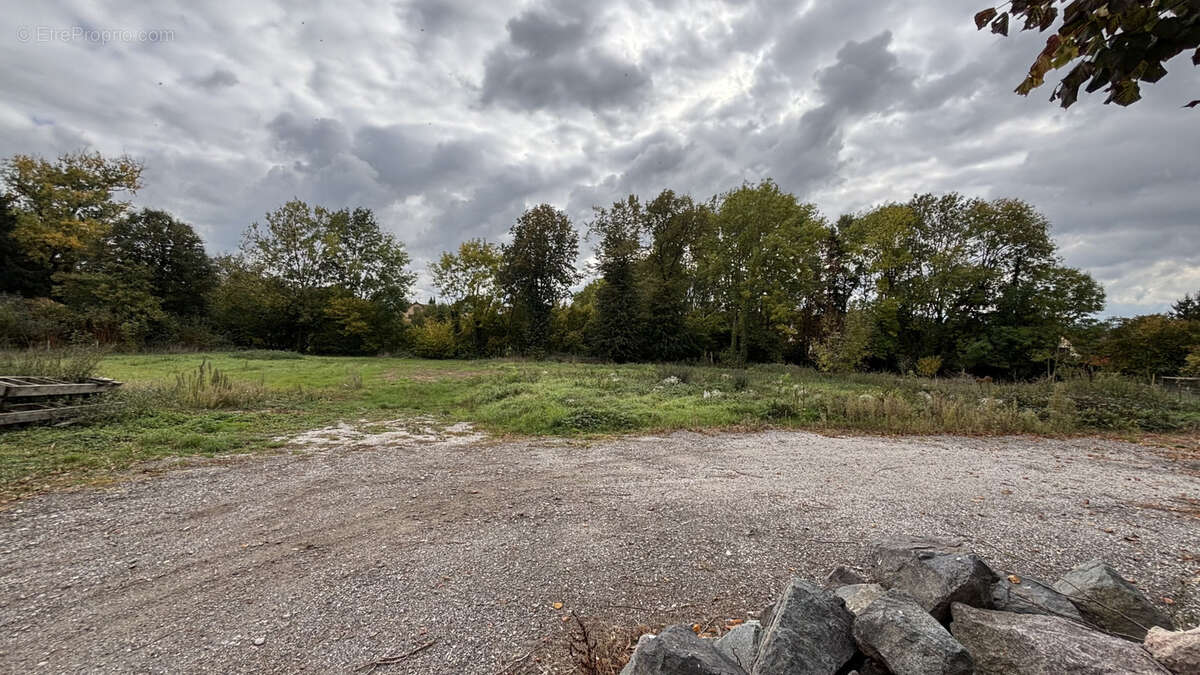 Terrain à SCHWENHEIM