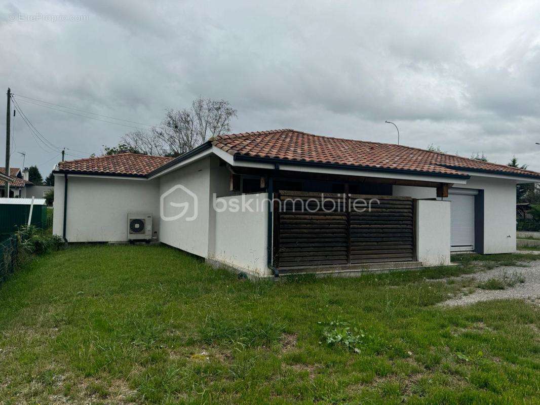 Commerce à SAINT-GEOURS-DE-MAREMNE