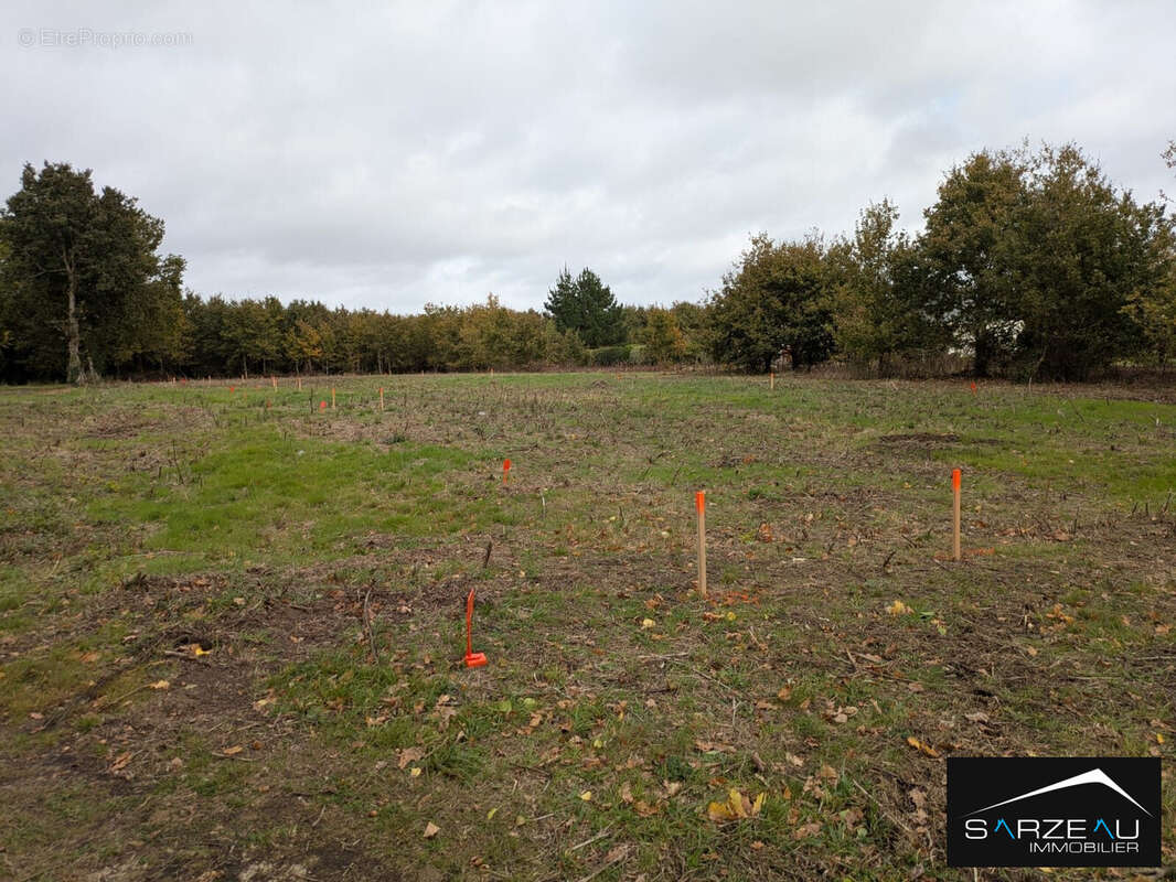 Terrain à LE TOUR-DU-PARC