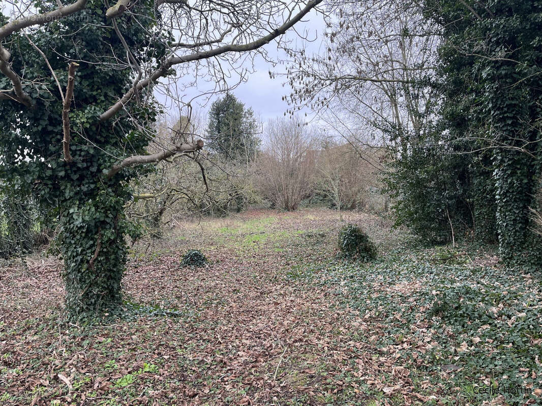 Terrain à SECLIN