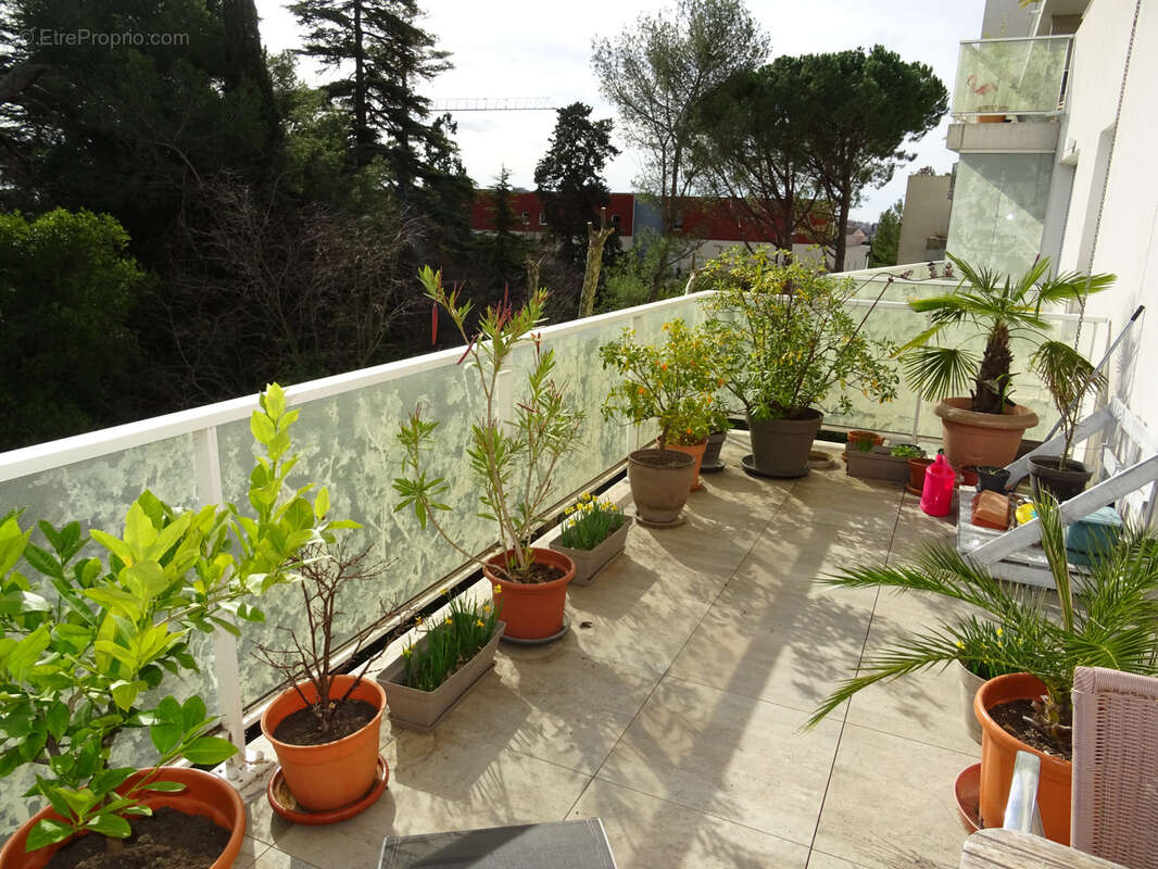 Appartement à MONTPELLIER