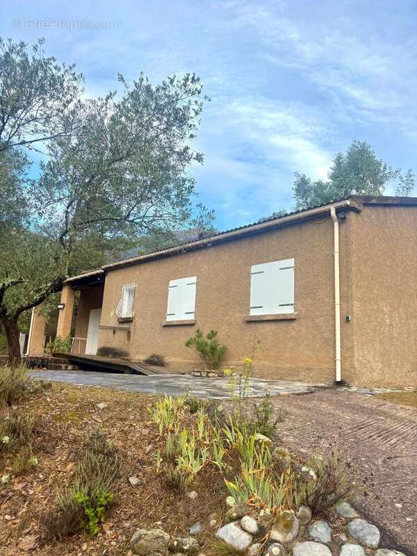 Photo 3 - Maison à MOLTIFAO