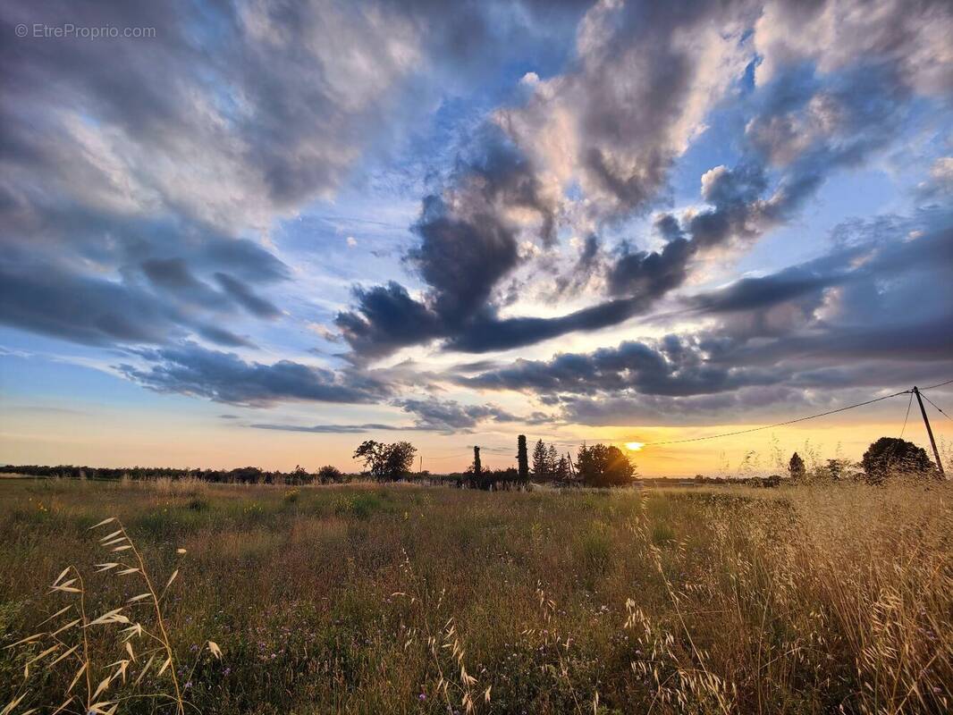 Terrain à PUIMOISSON