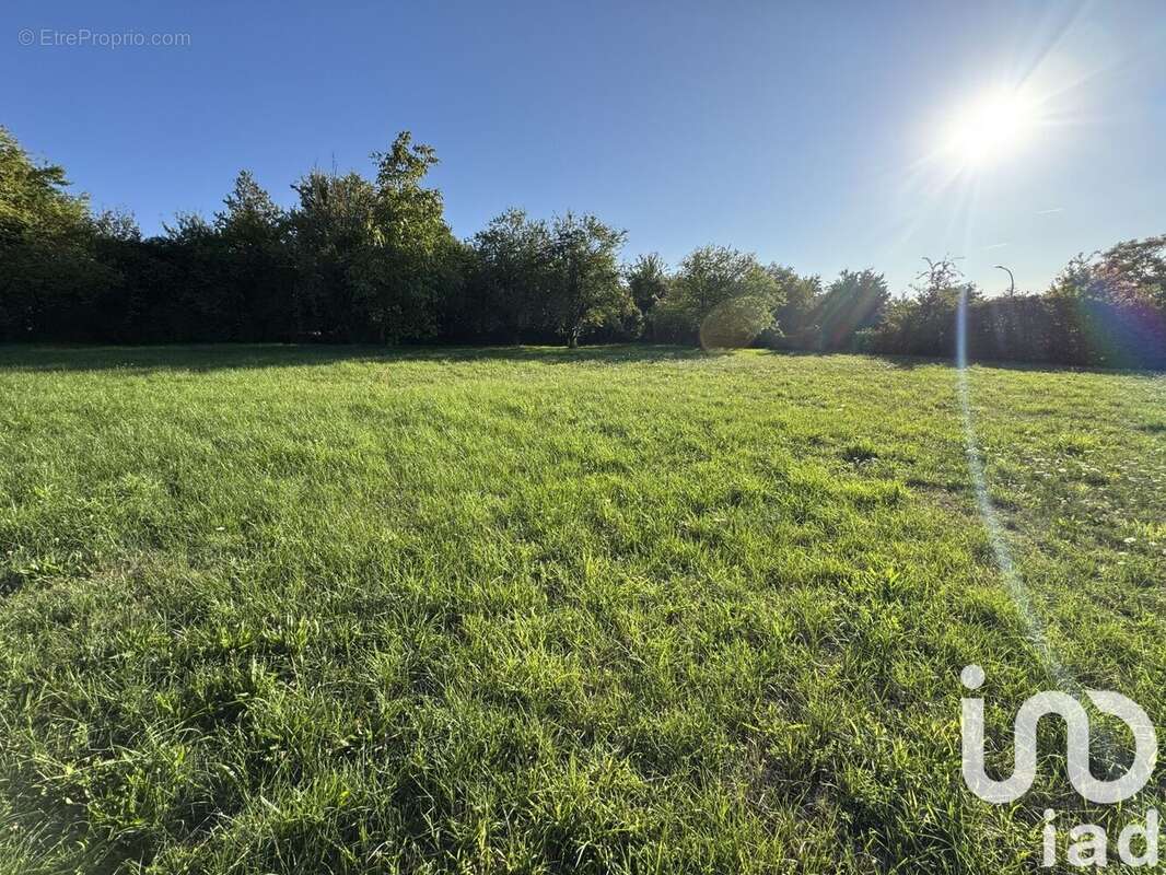 Photo 5 - Terrain à CHINON