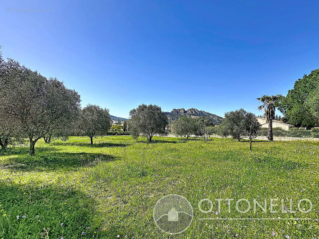 Terrain à ROQUEBRUNE-SUR-ARGENS
