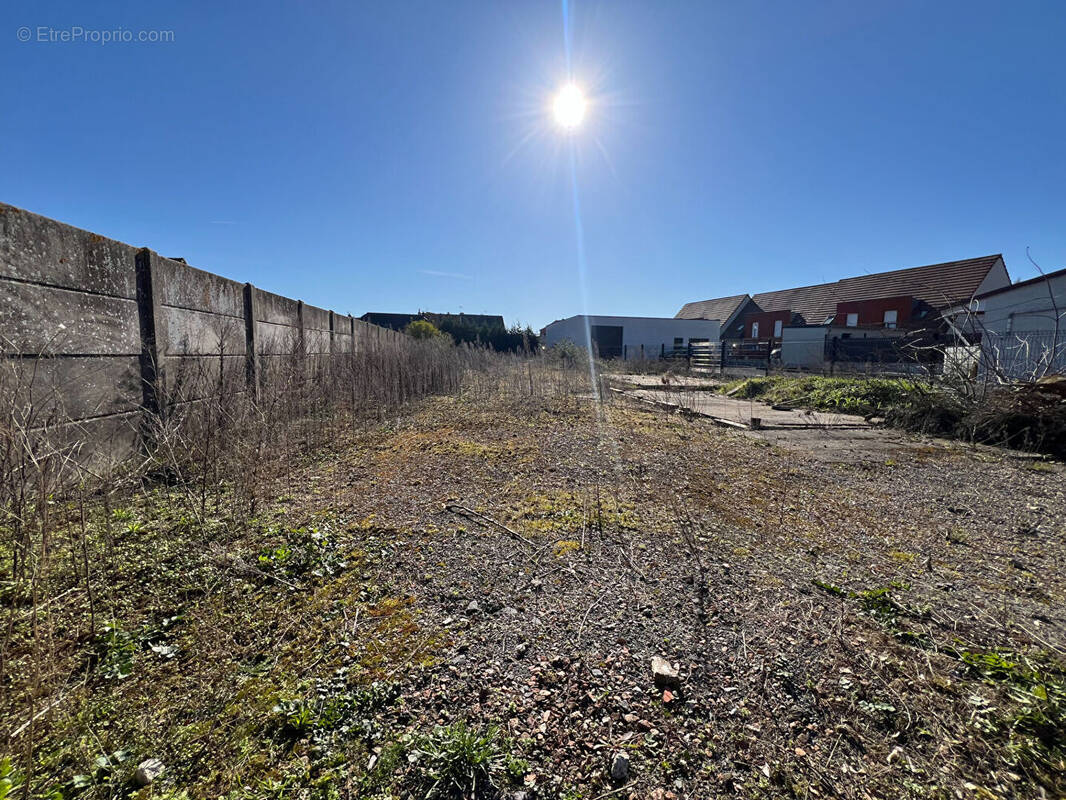 Terrain à SAINT-VENANT