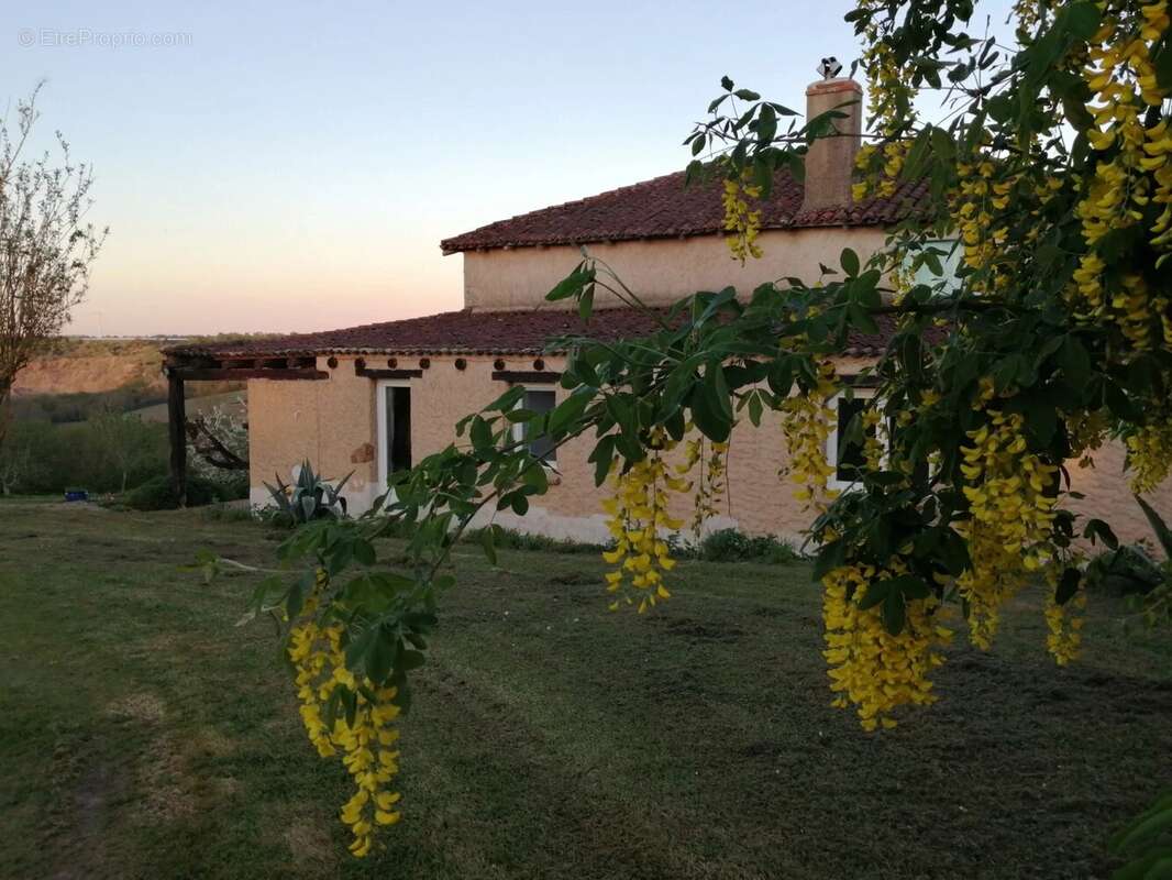 Maison, grange, atelier, hangar et terrain offrant une vue imprenable - photo 13