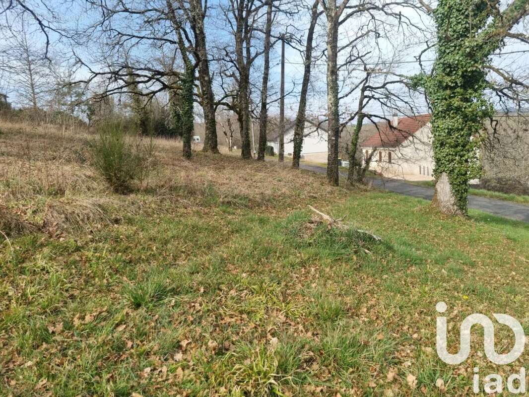 Photo 4 - Terrain à SAINT-CYR-LA-ROCHE