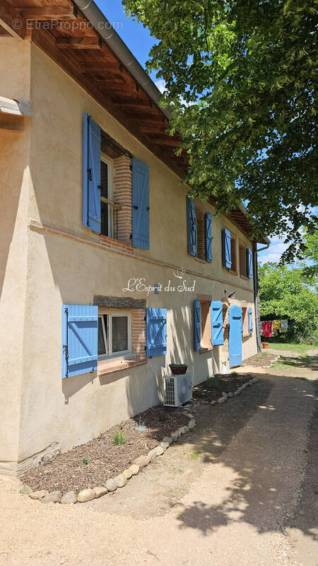 Maison à RABASTENS