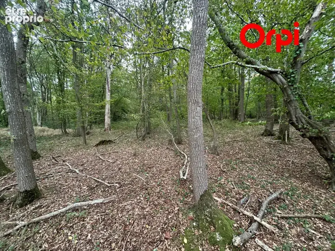 Terrain 7300 m² - photo 2