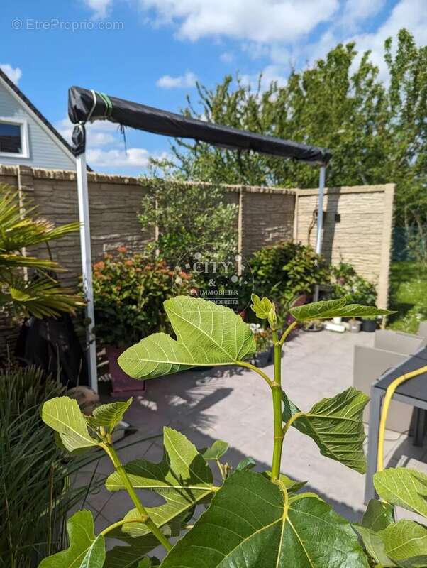 Maison à BLANGY-TRONVILLE