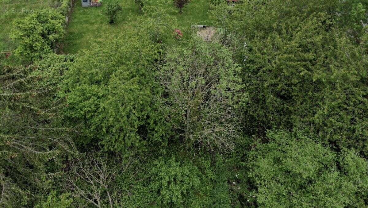 Terrain à PECQUEUSE